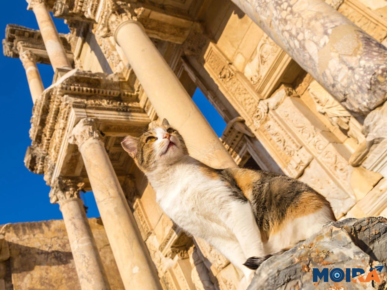 Library-of-Celsus-Ephesus-Turkey
