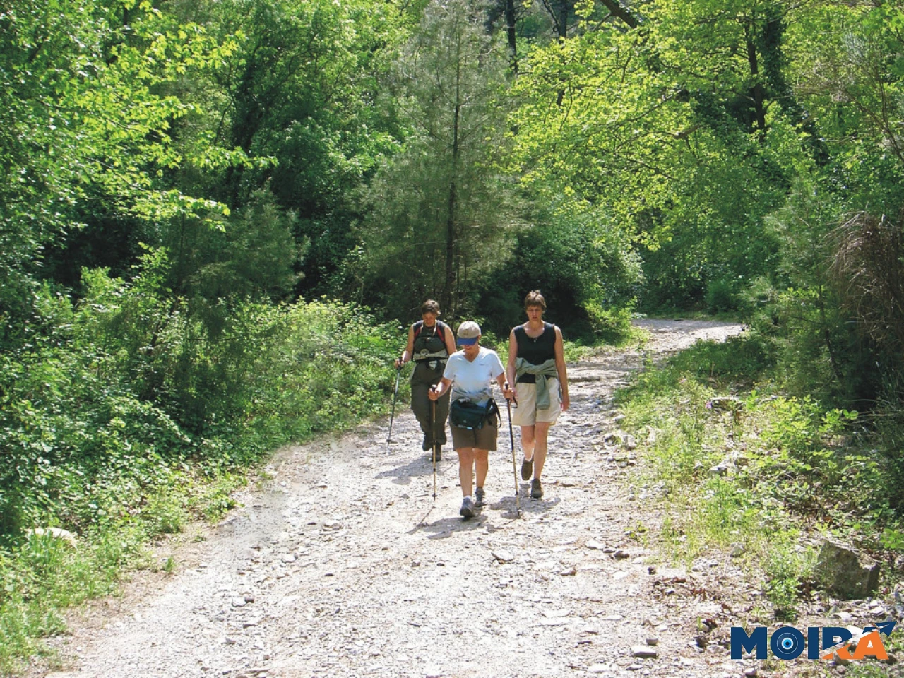 hikers-on-forest-trail-turkey