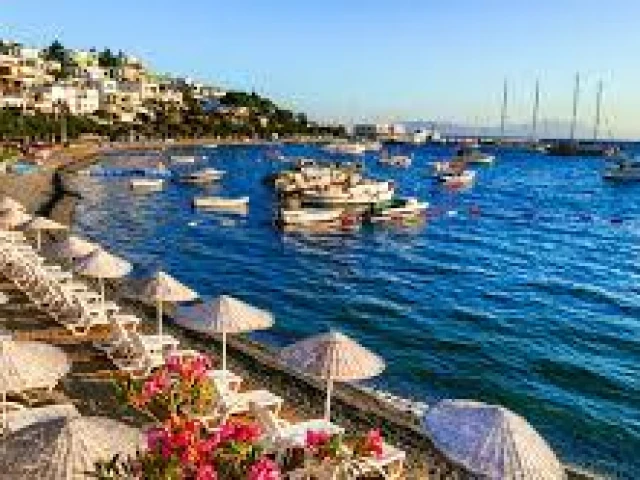 kusadasi-coastal-promenade-palm-trees-cruise-ship-seaside-town-turkey