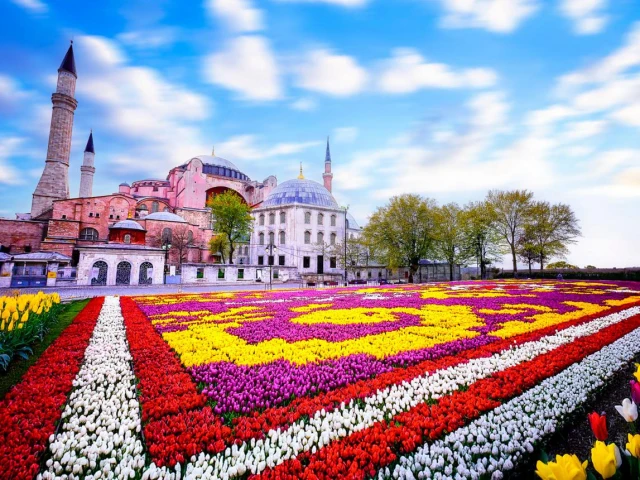 hagiasophia-istanbul-tulip-garden-spring-festival-historic-landmark-turkey